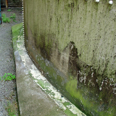 Eindringendes Wasser und Algenbildung an korrodiertem Tanksockel